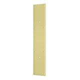 Push Plate 20" for 10" Door Pull