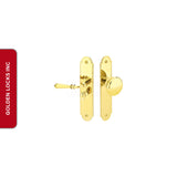 Polished Brass