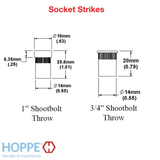 HOPPE Socket Strike Plate for Shootbolt Multipoint Lock Brass, 2024962