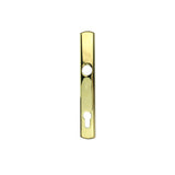 HOPPE CONTEMPORARY EXTERIOR BACKPLATE M216N FOR ACTIVE HANDLESETS - RESISTA BRASS