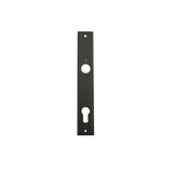 HOPPE DALLAS INTERIOR BACKPLATE M2161N FOR ACTIVE/INACTIVE HANDLESETS - MATTE BLACK