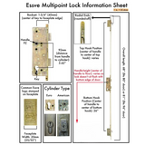 ESSVE 81" Multipoint Lock, 20mm 45/92 Active Single Door with Hooks - American Version
