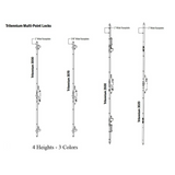 TRILENNIUM FACEPLATE W/ SCREWS FOR 6-8 LOCK - BRIGHT BRASS