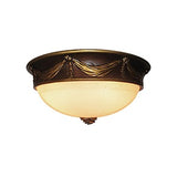 Resin Flush Ceiling Lamp, 14-1/4" x 6-5/8"