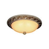 Resin Flush Ceiling Lamp, 15-1/2" x 6-1/8"