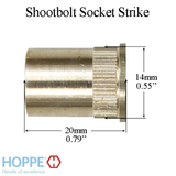 Socket Strike Plate, RS60276, 0.55 x 0.79 - Brass, 8784663