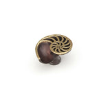 Schaub Nature - Sea Shell Knob - Dark Bronze - 1-1/2" dia