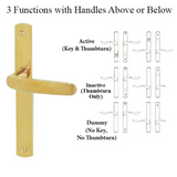 G-U ALLEGRO HANDLE & 30MM PLATE, DUMMY, NO KEY, NO THUMBTURN (HANDLES DO NOT MOVE) CHOOSE COLOR