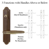 G-U TORINO HANDLE & 45MM PLATE, ACTIVE, KEYED W/ THUMBTURN (HANDLE BELOW CYLINDER) CHOOSE COLOR