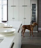 Shift Pendant Cabinet Pull 1 1/8" x 2 5/8"