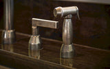 Kitchen Side Spray