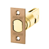 Schlage 12-291 Deadbolt for B500 Series, Adjustable 2-3/8" or 2-3/4" Backset, 1-1/8" x 2-1/4" Face, Square Corner