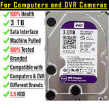 Master Disk 3 (Bag of 100)
