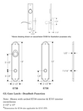Rocky Mountain Arched Keyed Gate Hardware 2 1/2" x 13"