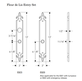 Rocky Mountain Fleur de Lis Entry Set 2″ x 15″