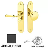 Emtek 2290 Arch Style Screen Door Locks