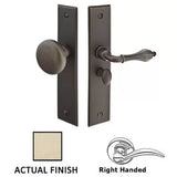 Emtek 2291 Screen Door Lock- Rectangle Style