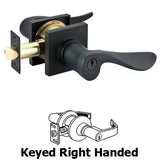Emtek Luzern Keyed Entrance Lever Square Rosette - 5122LU