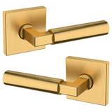 L029 Lever Full Dummy Set