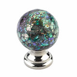 Schaub Imperial Shell - Knob with Polished Nickel base -  1-1/4