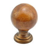 Schaub Imperial Shell - Knob with Polished Nickel base -  1-1/4" dia