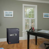 HOLLON HS-880E HOME & OFFICE FIRE SAFE